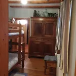 Le Temps Des Cigognes