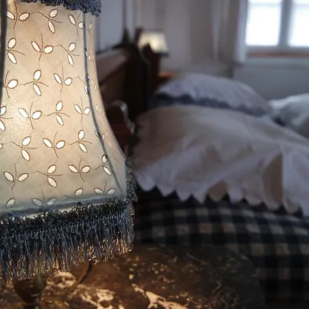 Le Temps Des Cigognes