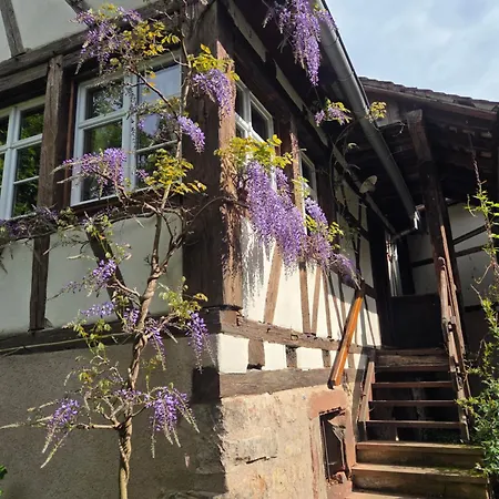 Holiday home Le Temps Des Cigognes