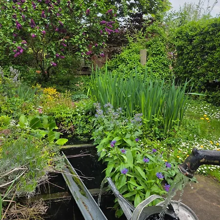 Le Temps Des Cigognes Ferienhaus *