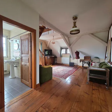 Le Temps Des Cigognes