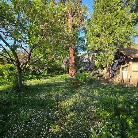 Le Temps Des Cigognes Holiday home Barr