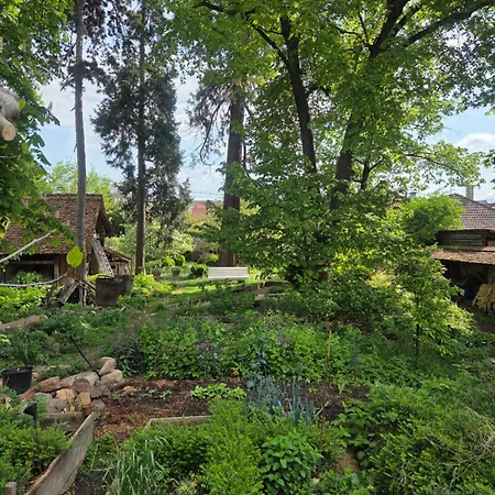 Le Temps Des Cigognes * Barr