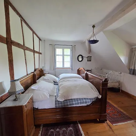 Le Temps Des Cigognes