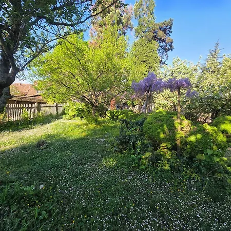 Le Temps Des Cigognes Holiday home