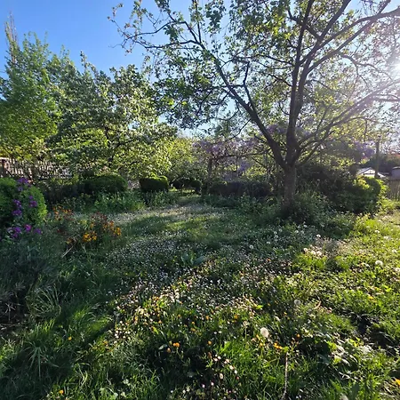 Le Temps Des Cigognes Ferienhaus *