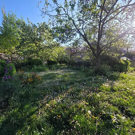 Le Temps Des Cigognes Holiday home *