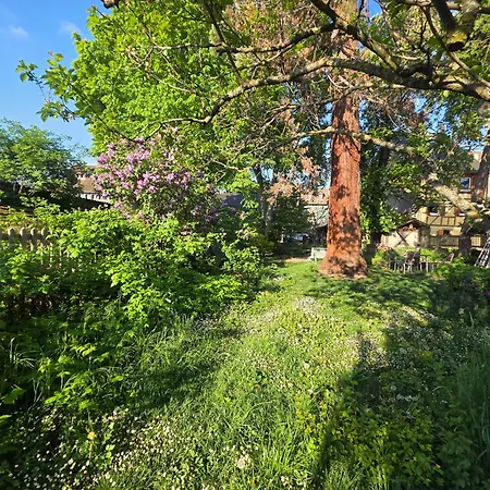 Ferienhaus Le Temps Des Cigognes *