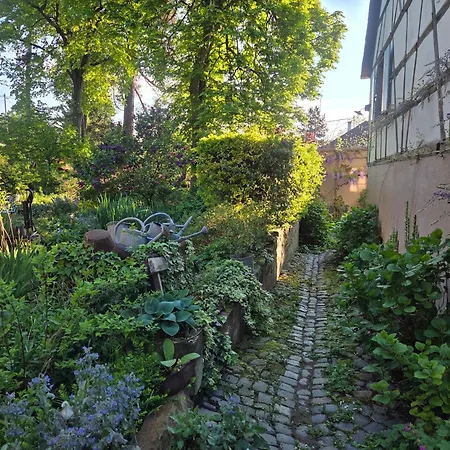 Ferienhaus Le Temps Des Cigognes Barr