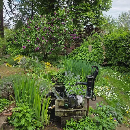 Le Temps Des Cigognes