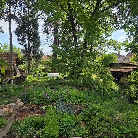Le Temps Des Cigognes Ferienhaus