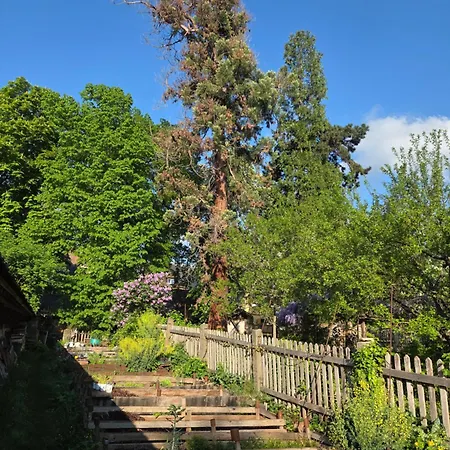 Holiday home Le Temps Des Cigognes Barr