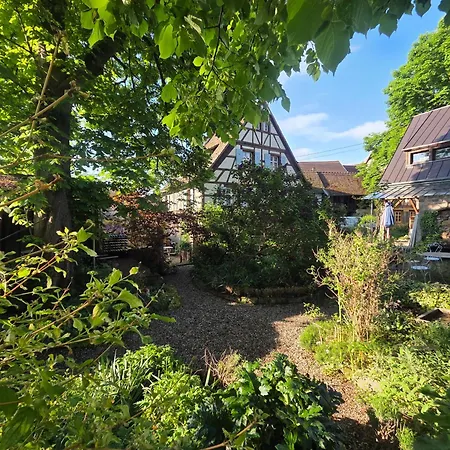 Le Temps Des Cigognes