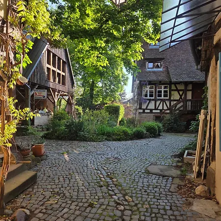 Le Temps Des Cigognes *