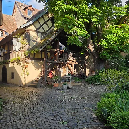 Le Temps Des Cigognes Barr