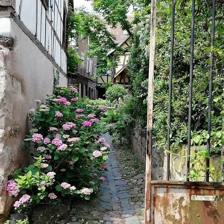 Le Temps Des Cigognes *