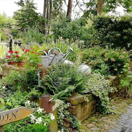 Le Temps Des Cigognes